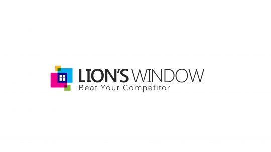 lions-window-best-digital-marketing-company